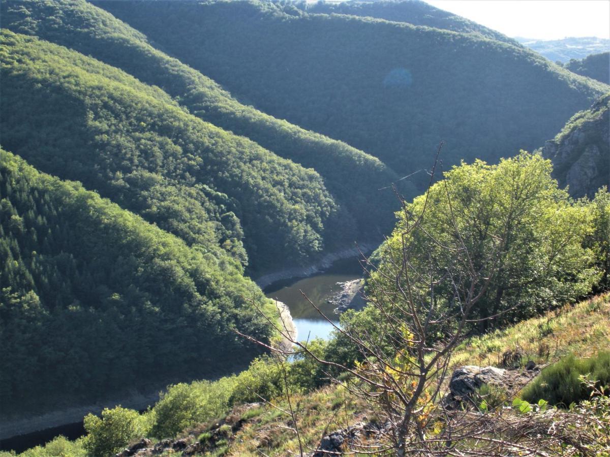 Chalet Nature Sur La Vallee De La Truyere Neuvéglise 외부 사진